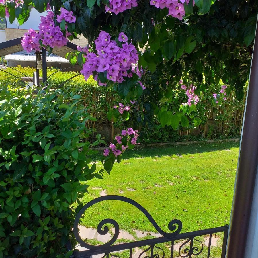 La Bouganville Di Sante E Rosa Manoppello Dış mekan fotoğraf